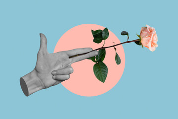 Composite collage picture of human arm fingers black white colors hold rose flower isolated on creative background