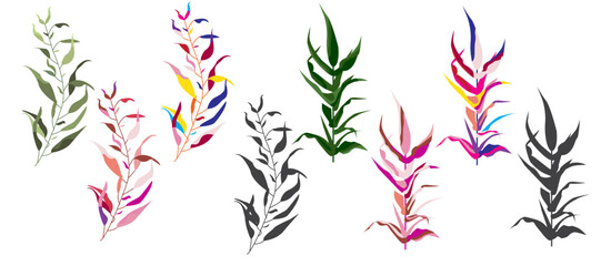Fototapeta na wymiar Modern set of abstract plant elements, minimal design, stylish colors, vector illustration