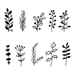 Vector hand drawn set of floral elements