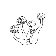 Vector illustrations of hand drawn mushrooms