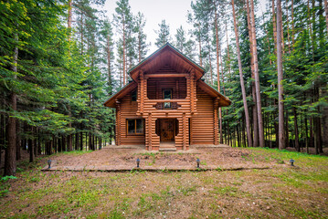 Fototapeta na wymiar Abandoned log cabin in pine forest