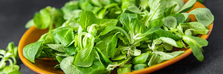 mache salad green corn leaves mung bean lettuce fresh meal food snack diet on the table copy space food background 