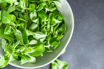mache salad green corn leaves mung bean lettuce fresh meal food snack diet on the table copy space food background 