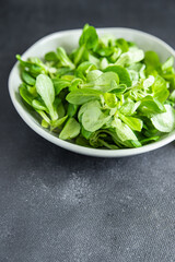 mache salad green corn leaves mung bean lettuce fresh meal food snack diet on the table copy space food background 