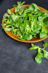 mache salad green corn leaves mung bean lettuce fresh meal food snack diet on the table copy space food background 