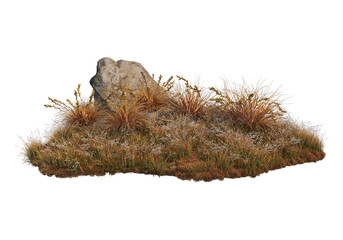 Autumn forest on a transparent background
