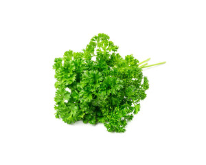 Fototapeta premium Curly Parsley Leaves Isolated