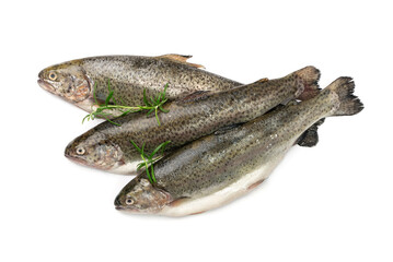 Naklejka premium Raw Trout Isolated