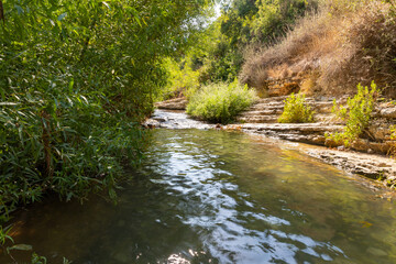 Fresh,  cold, fast, shallow stream En Hardalit flows in the north of Israel, not far from Nahariya city