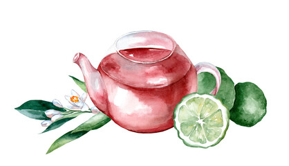 Teapot of herbal tea with a fresh slice of bergamot, flowers, bergamot fruit painted in watercolor on a white background - obrazy, fototapety, plakaty