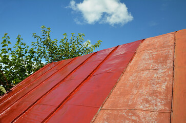 Repainting old metal roof surface. Steel roofing unfinished renovation with red paint.