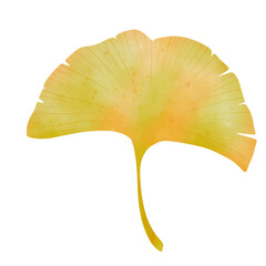 Watercolor ginkgo leaf