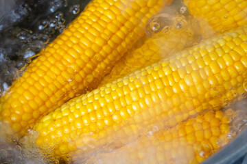 Corn on the cob boiling in a pot