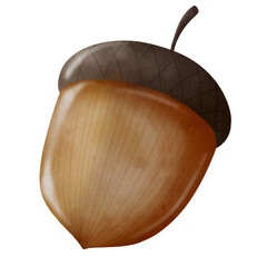 Watercolor acorn © mickiiz_digital_art