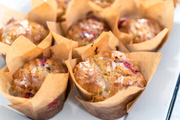 Cranberry muffin