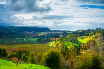 Breathtaking autumn landscape with stormy sky and changing light over golden vineyards in the valley, colourful trees on the slopes, and distant sea. Beautiful autumn day in Hawkes Bay, New Zealand