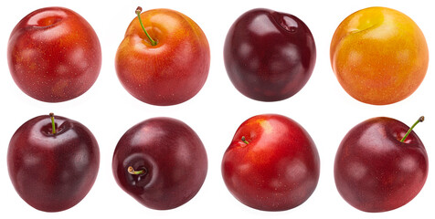 Plums isolated on white background with clipping path