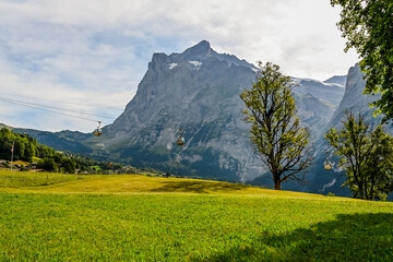 Grindelwald, Wetterhorn, Grosse Scheidegg, Oberer Gletscher, Schreckhorn, Alpen, Berner Oberland, Wanderweg, Bergdorf, Bergwiese, Bergblumen, Bergbahn, Sommer, Schweiz