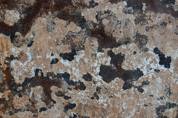 Background the cement walls.