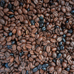 roasted beans coffee, brown background