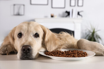 Cute retriever lying at white table near bowl of food indoors - Powered by Adobe
