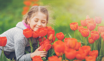 Cute girl picking red tulips in bouquet in the garden.