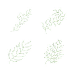 Fototapeta na wymiar Set of hand drawn leaf branch flower with different shape.