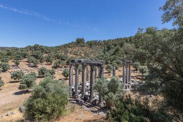 Fototapeta na wymiar Euromos was an ancient city in Caria, Anatolia; the ruins are approximately 4 km southeast of Selimiye and 12 km northwest of Milas (the ancient Mylasa), Mugla Province, Turkey.