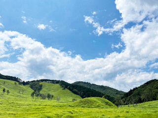 真っ青な透き通った空と草原と山　砥峰高原