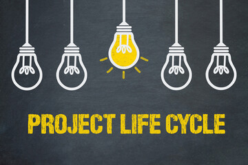 project life cycle