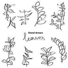 set of hand drawn flowers
