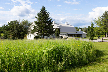 Obraz premium Selective focus view of large white wooden barn in rural farmland, with plants in the foreground, Ste. Petronille, Island of Orleans, Quebec, Canada