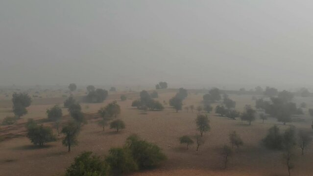 Sindh province of Pakistan's Khairpur District is home to the improved riverine woodland known as Mehrano Wildlife Sanctuary.