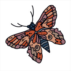 Tropical elegant butterfly with colorful wings and antennae isolated on white background. Beautiful flying moth, top view. Gorgeous exotic spring insect. Color flat texture vector illustration