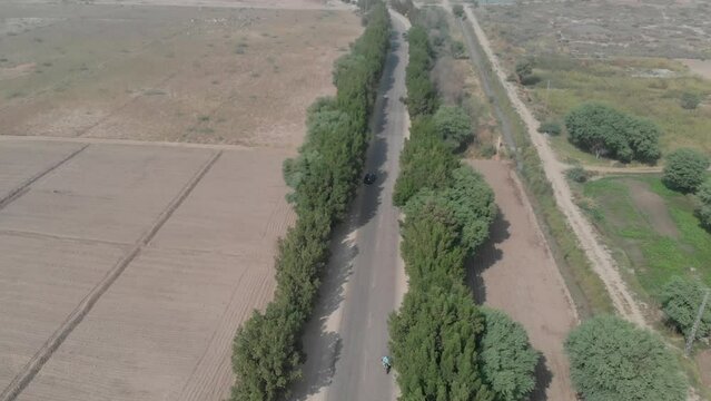 Drone capture the aerial video of the few vehicles are seen on the road lined with tree, in Khairpur Sindh near the desert.