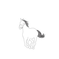 Horse line drawing stock illustration