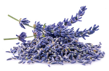 Lavender flowers close up isolated on white background.