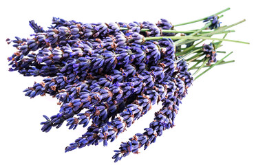 Bouquet of lavender flowers closeup isolated on white background.