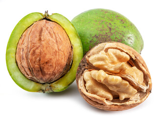 Fresh walnuts in green husk, opened walnut with kernel isolated on white background.
