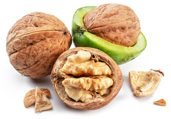 Fresh walnut in green husk, walnut and kernel isolated on white background.