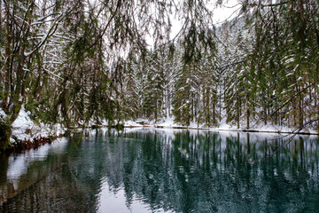 Lake in winter forest. Pine forest is on background. Germany.