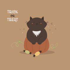 Halloween illustration with a funny cat and pumpkin