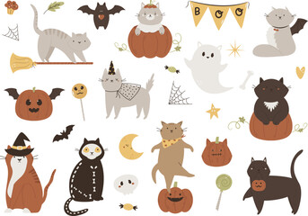 Fototapeta premium Set of Halloween cats in mascarade costumes, ghost, bat, pumpkins.