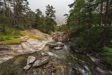 Natural landscapes of the lake, forest and mountains in the French Pyrenees