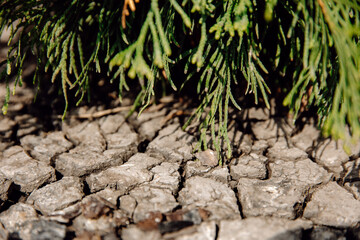land cracked by drought