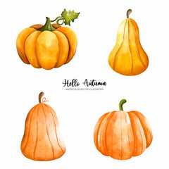 Pumpkin Autumn elements, Autumn or Fall season, Thanksgiving watercolor Vector illustration..