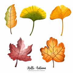 Watercolor autumn. Autumn leaves elements, Autumn or full watercolor vector illustration..