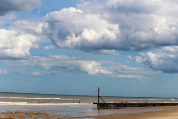 Stormy beach landscape