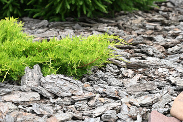 Mulching in landscape design. Garden and terrace design with a modern mix of construction material and various plants