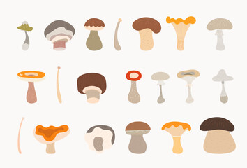 mushrooms cartoons vector illustration  set  - obrazy, fototapety, plakaty